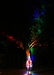 Rainbow From Lighted Clear Plastic Rain Bonnet